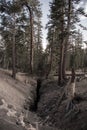 The Inyo Earthquake Fault in Mammoth Lakes California