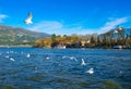 Ioannina city in Greece. View of the lake and the mosque of Aslan Pasa cami with seagulls and swans.