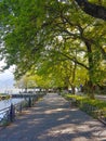 ioannina city lake area with platanus trees on ring road of lake pamvotis greece Royalty Free Stock Photo