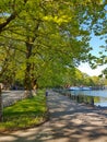 ioannina city lake area with platanus trees on ring road of lake pamvotis greece Royalty Free Stock Photo