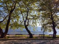 ioannina city lake area with platanus trees on ring road of lake pamvotis greece Royalty Free Stock Photo