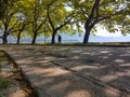 ioannina city lake area with platanus trees on ring road of lake pamvotis greece Royalty Free Stock Photo