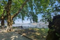 Ioannina  city beside the lake pamvotis, in summer season, platanus trees lake boats , greece Royalty Free Stock Photo