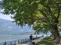 Ioannina  city beside the lake pamvotis, in summer season, platanus trees lake boats , greece Royalty Free Stock Photo