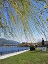 Ioannina city in  sping in the lake pamvotis greece Royalty Free Stock Photo