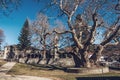 Ioannina lake in Epirus Region, Greece. Artistic panoramic view Royalty Free Stock Photo