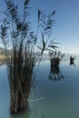 Ioannina lake in Epirus Region, Greece. Artistic panoramic view Royalty Free Stock Photo