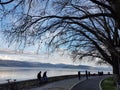 Ioannina lake evening in winter season trees road in greece