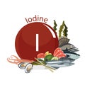 Iodine in food. Products with the maximum content of microelements.