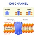 Ion channel Royalty Free Stock Photo