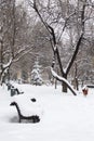 Ion Voicu park covered with snow after a blizzard night Royalty Free Stock Photo