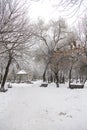 Ion Voicu park covered with snow after a blizzard night