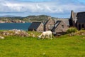 Iona Abbey, Scotland