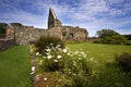 Iona Nunnery Ruins Royalty Free Stock Photo