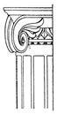 Ionic Capital.ancient, scroll, vintage engraving