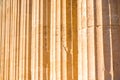Ionic column background Royalty Free Stock Photo