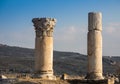 Ionic order, column in ancient Olympia Royalty Free Stock Photo