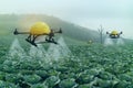 Iot smart agriculture industry 4.0 concept, drone in precision farm use for spray a water, fertilizer or chemical to the field, Royalty Free Stock Photo