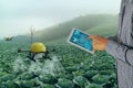 Iot smart agriculture industry 4.0 concept,Farmer use  drone in precision farm use for spray a water, fertilizer or chemical to Royalty Free Stock Photo