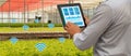 Iot smart industry robot 4.0 agriculture concept,industrial agronomist,farmer using tablet to monitor, control the condition in ve