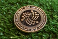 Iota is a modern way of exchange and this crypto currency is a convenient means of payment in the financial and web markets