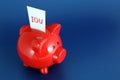 IOU Piggy Bank Royalty Free Stock Photo