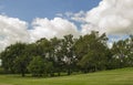 Iowa Country Yard with Grouping of Trees