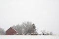 Iowa farm during winter storm