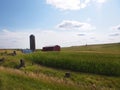 Iowa Farmland with Corn Royalty Free Stock Photo