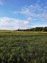 Iowa Farmland with Rolled Bailed Hay