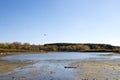 Iowa lake landscape in autumn with seagulls