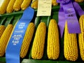 Iowa State Fair Blue Ribbon Corn