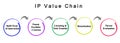 IP Value Chain