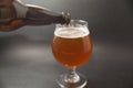 IPA Beer in glass Royalty Free Stock Photo