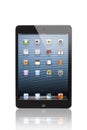 IPad mini Black and Slate whit home screen (Front Side) Royalty Free Stock Photo