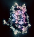 Iptacopan drug molecule. 3D rendering. Atoms are represented as spheres with conventional color coding: hydrogen white, carbon