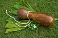 Ipu Heke Hawaiian Double Gourds Drum Royalty Free Stock Photo