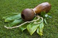Ipu Heke Hawaiian Double Gourds Drum Royalty Free Stock Photo