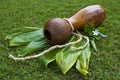 Ipu Heke Hawaiian Double Gourds Drum