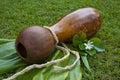 Ipu Heke Hawaiian Two Gourds Drum Royalty Free Stock Photo