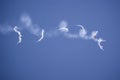 IR flares and a bird. Royalty Free Stock Photo