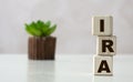 IRA - word on wooden cubes on a light background with a cactus Royalty Free Stock Photo