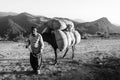 Mazandaran, Iran - 19 July 2017: Iranian old person with his donkey carrying heavy bags in the mountain of north of Iran