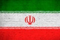 Iran flag painted on brick wall. National country flag background photo