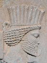 Iran, reliefs in Ancient Persepolis Complex Royalty Free Stock Photo