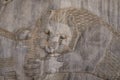 Iran, reliefs in Ancient Persepolis Complex Royalty Free Stock Photo