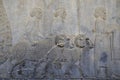 Iran, reliefs in Ancient Persepolis Complex