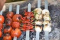 Iranian chicken Barbecue with onion and chilly in the park