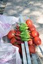 Iranian chicken Barbecue with onion and chilly in the park