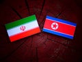 Iranian flag with North Korean flag on a tree stump